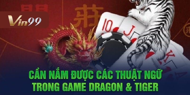 Hiểu thuật ngữ chuẩn giúp bạn tự tin chinh phục Rồng Hổ.