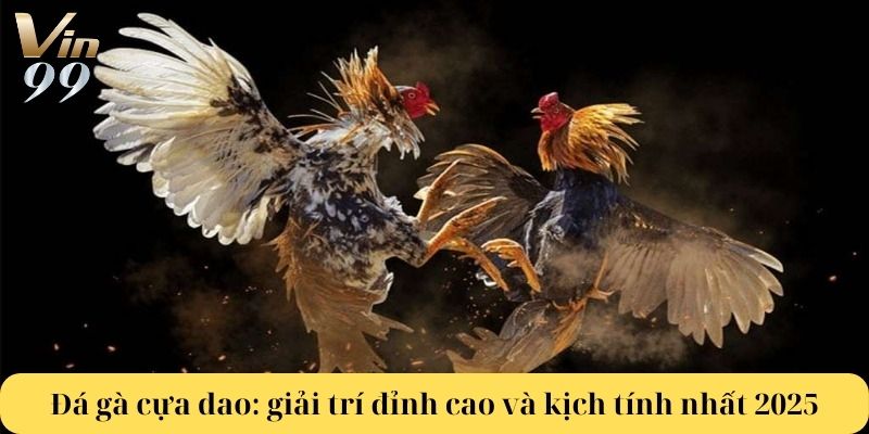 Đá gà cựa dao: giải trí đỉnh cao và kịch tính nhất 2025