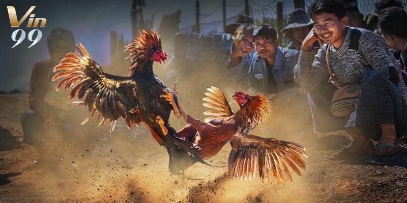 Hàng loạt điểm nổi bật giúp sảnh có lượng người chơi đông đảo.