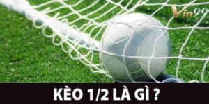 Kèo 1/2 là gì? – Cập nhật chi tiết, mới nhất cho tân thủ