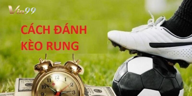 Vin99 là một trong những nhà cái uy tín hàng đầu hiện nay.