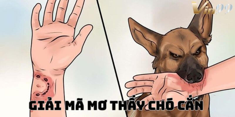 Mơ thấy chó cắn là dấu hiệu gì? Giải mã để tìm con số may mắn