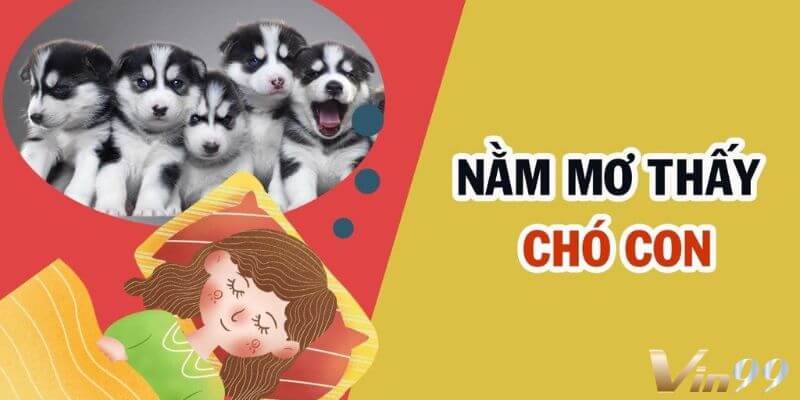 Mơ thấy chó con cắn dấu hiệu gặp rắc rối nhỏ.