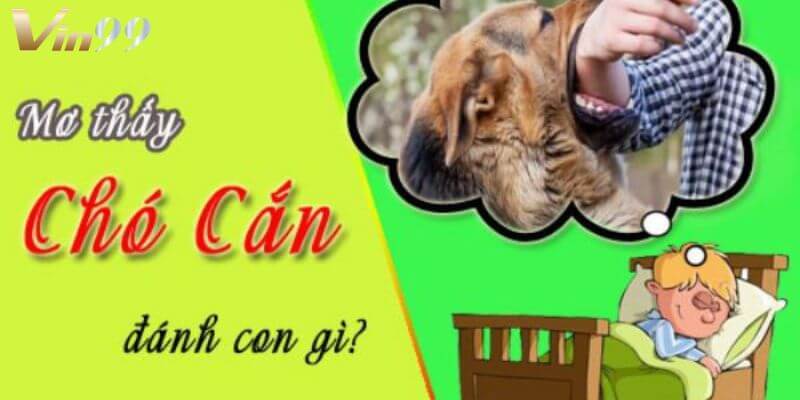Giải mã chiêm bao mơ thấy chó cắn tìm ra con số may mắn.